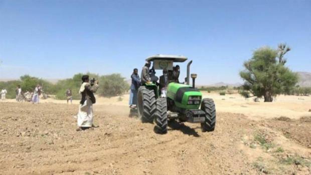 محافظ صعدة يطلع على أعمال زراعة الذرة في مديرية الصفراء