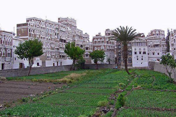 اللجنة العسكرية تؤكد حرصها على قانونية كل الإجراءات التي تتخذها لحماية أراضي القوات المسلحة