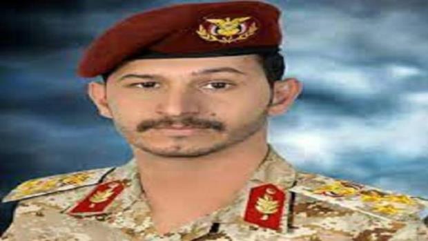 الكشف عن مخططات لطارق عفاش لتصفية القيادات التهامية
