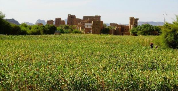 تحقيق الاكتفاء الذاتي: سبيل الوصول إلى الاستقلال والتخلص من التبعِّية والهيمنة